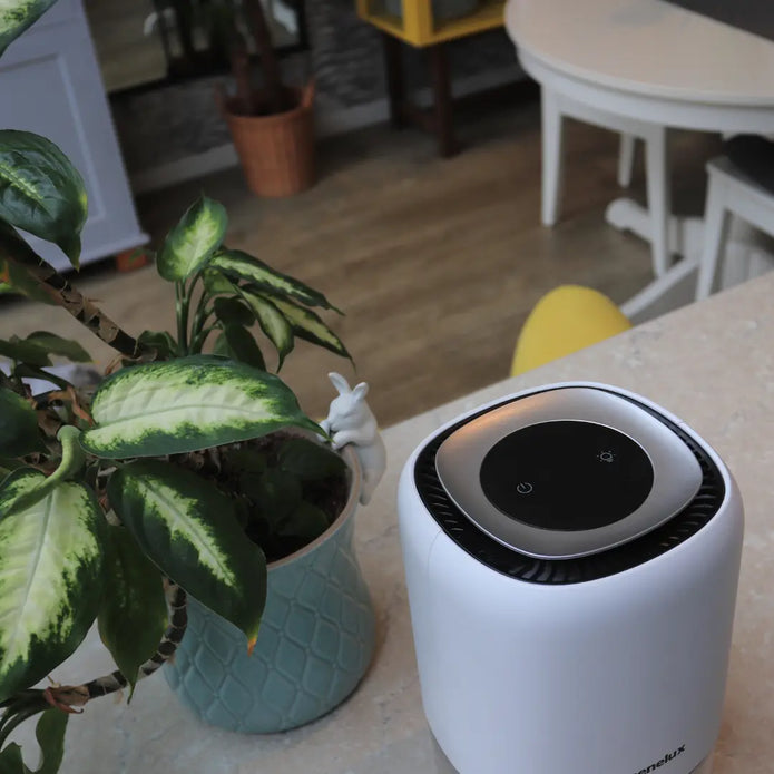 Senelux 1100ml Quiet Dehumidifier